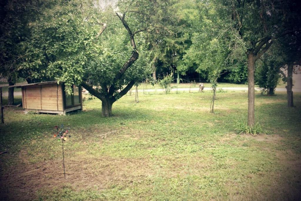 Ferienwohnung Im Gruenen Gottenheim Zewnętrze zdjęcie