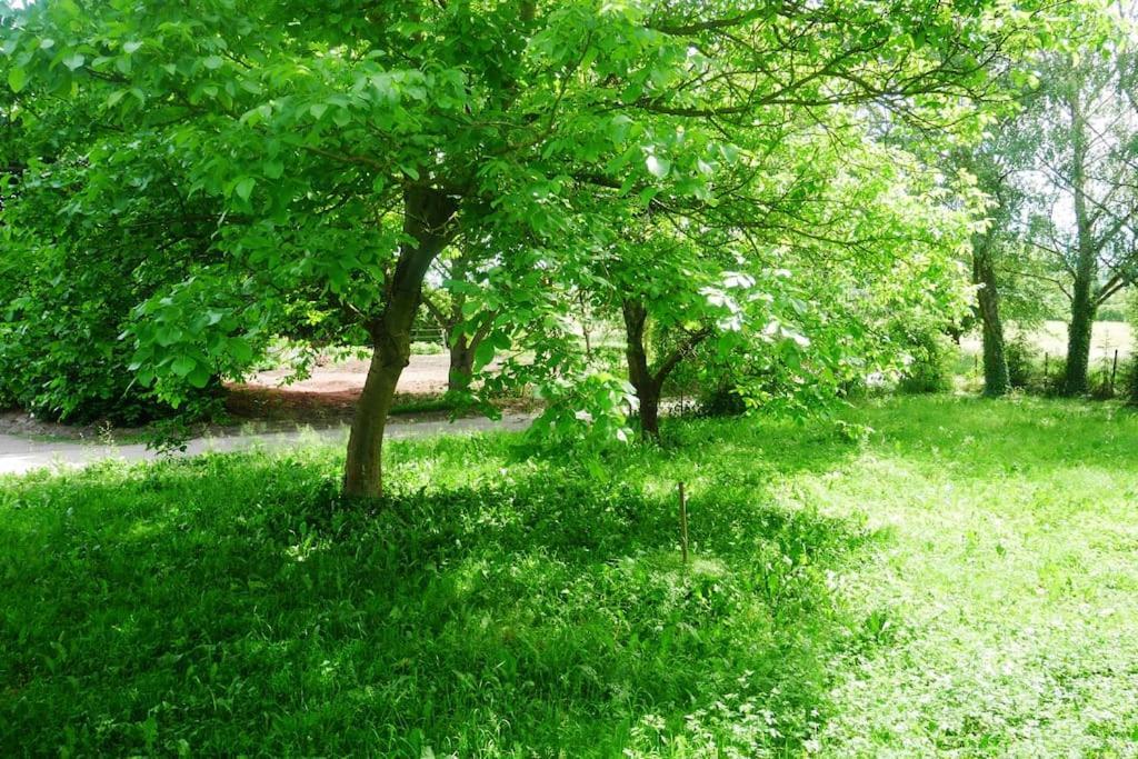 Ferienwohnung Im Gruenen Gottenheim Zewnętrze zdjęcie