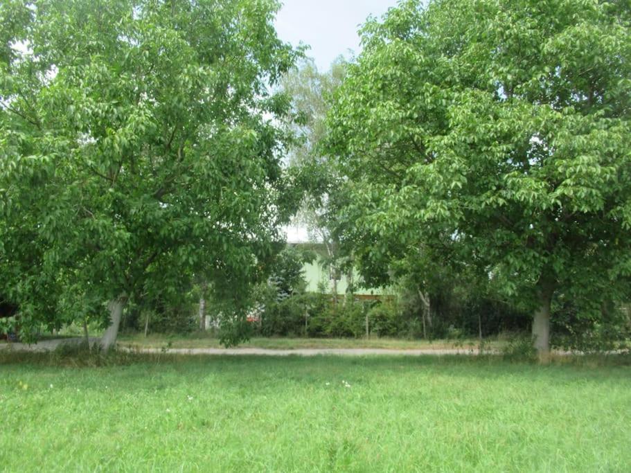 Ferienwohnung Im Gruenen Gottenheim Zewnętrze zdjęcie